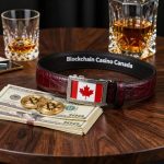 Top Provably Fair Casino with Live Games in Canada