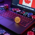 Premium Blockchain Casino for High Rollers in Canada A Comprehensive Guide